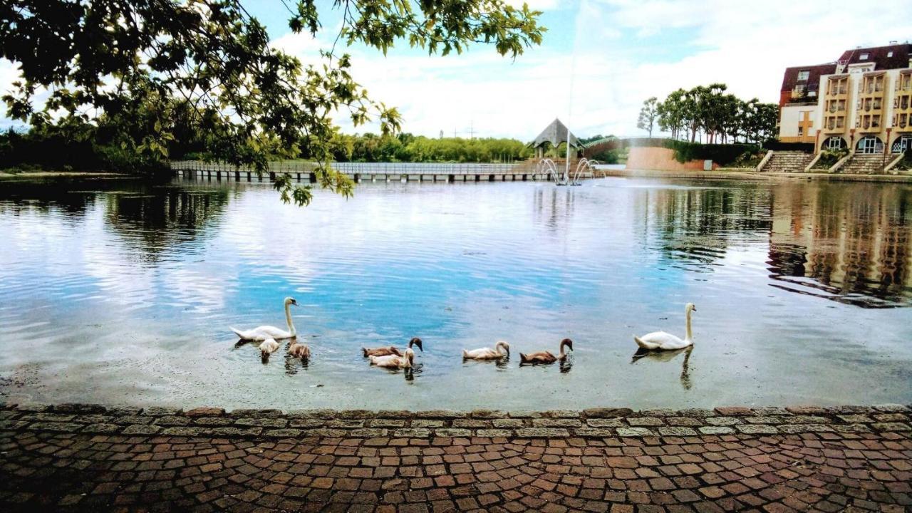 Vue Exceptionnelle Sur Le Lac เครเตย ภายนอก รูปภาพ