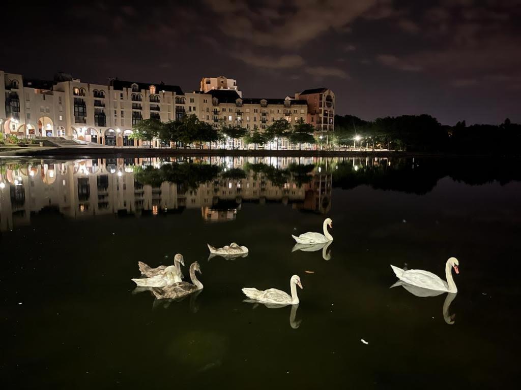 Vue Exceptionnelle Sur Le Lac เครเตย ภายนอก รูปภาพ