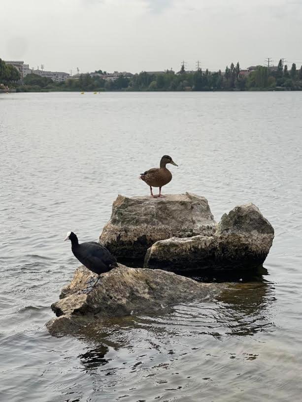 Vue Exceptionnelle Sur Le Lac เครเตย ภายนอก รูปภาพ